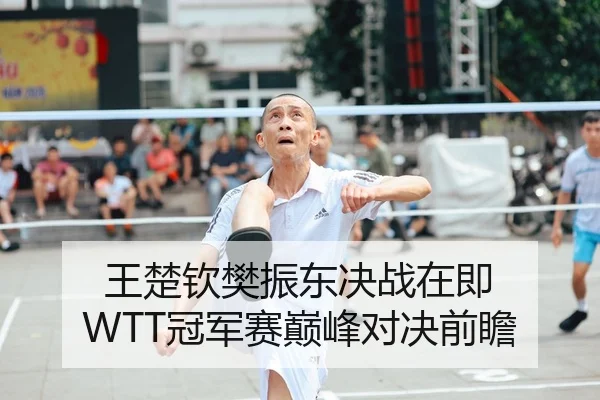 王楚钦樊振东决战在即 WTT冠军赛巅峰对决前瞻