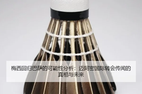 mei-xi-hui-gui-ba-sa-de-ke-neng-xing-fen-xi-mai-a-mi-guo-ji-zhuan-hui-chuan-wen-de-zhen-xiang-yu-wei-lai-2-310.jpg