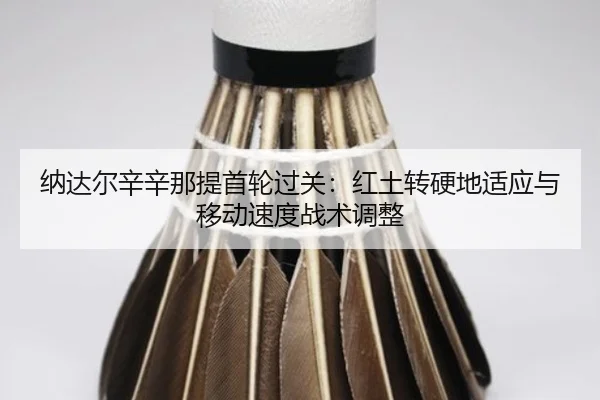 na-da-er-xin-xin-na-ti-shou-lun-guo-guan-hong-tu-zhuan-ying-di-shi-ying-yu-yi-dong-su-du-zhan-shu-tiao-zheng-2-313.jpg