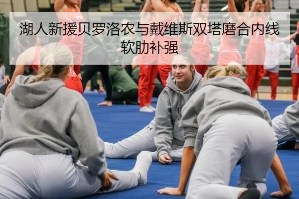 湖人新援贝罗洛农与戴维斯双塔磨合内线软肋补强